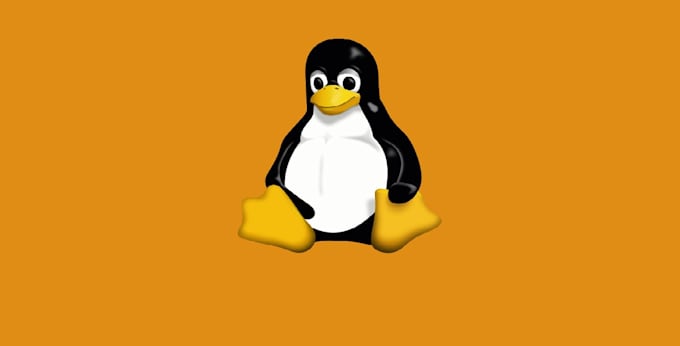 install and configure linux on your PC or vm