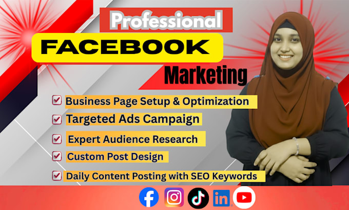 do professional facebook page setup and ads campaign