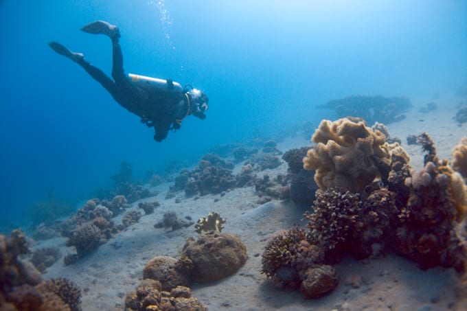 recover true underwater image colors