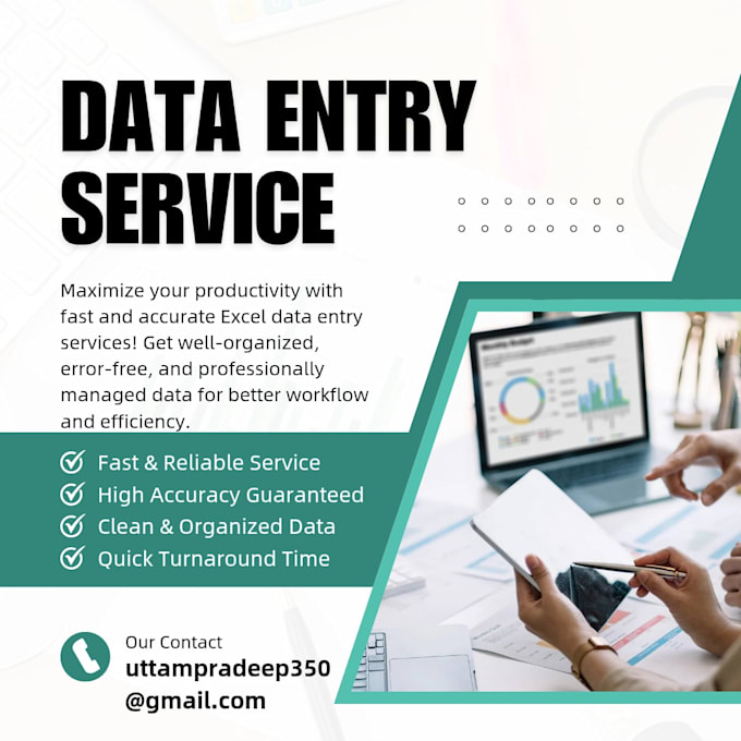 fast excel data entry with 100 accuracy and quick delivery