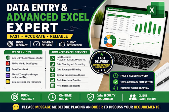 provide data entry and advance excel services