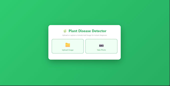 build a custom deep learning model for image classification