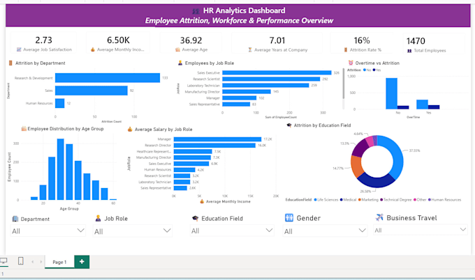build professional excel dashboard, charts and data cleaning