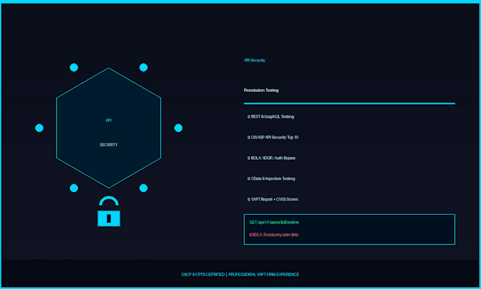 perform a professional rest or graphql API security penetration test