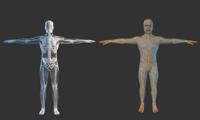 Fix and rig second life mesh avatar bento skeleton rig animesh and ...