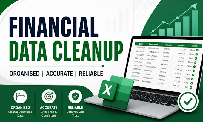 clean and organize your financial data professionally