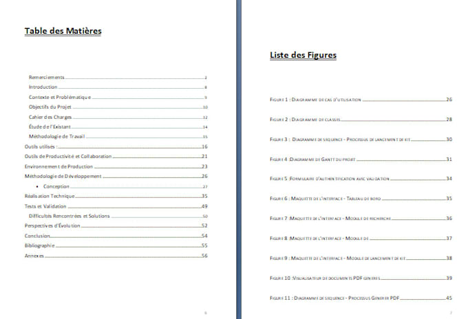 write professional srs and business analysis document