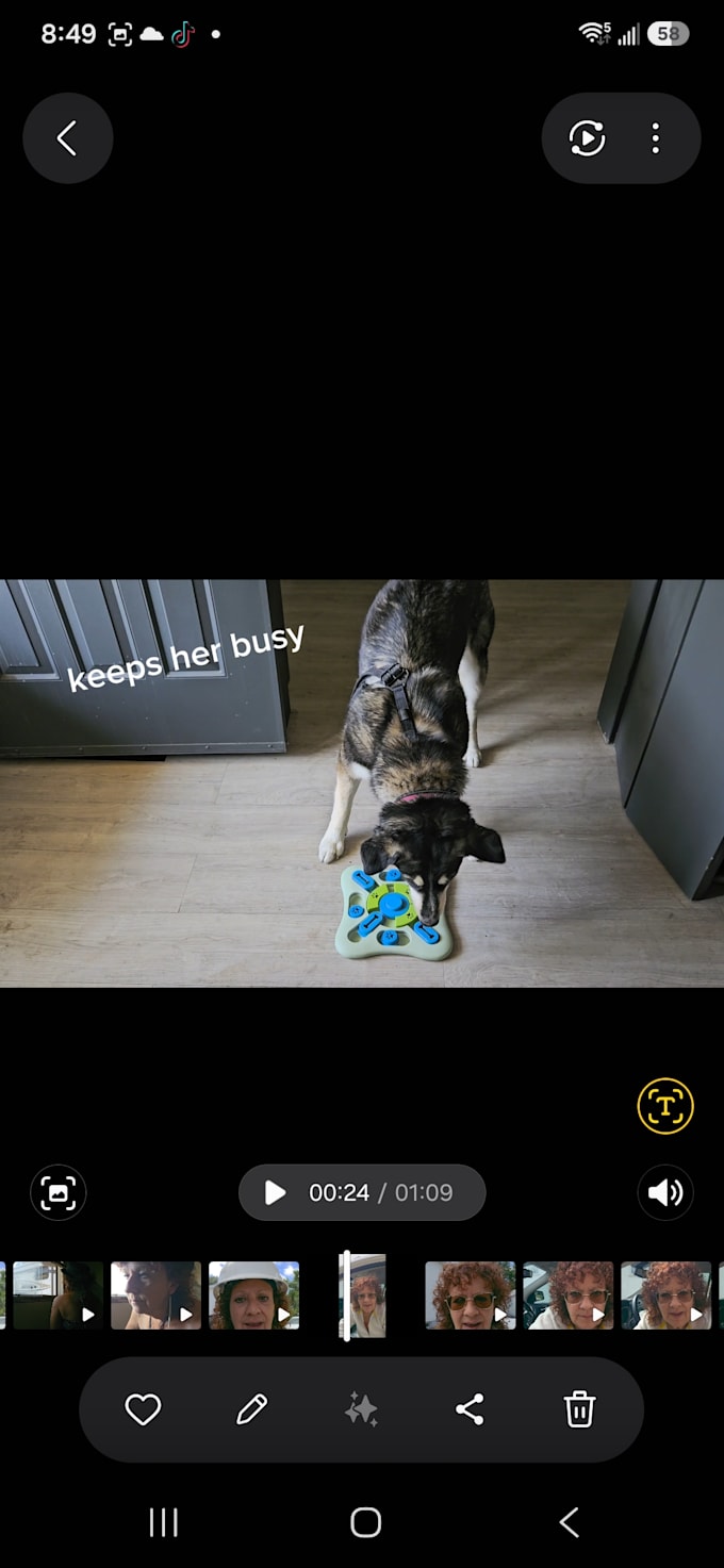 create pet ugc ads for your product or service