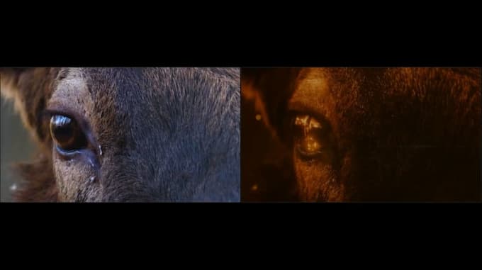 do professional vfx compositing, green screen, and cgi integration