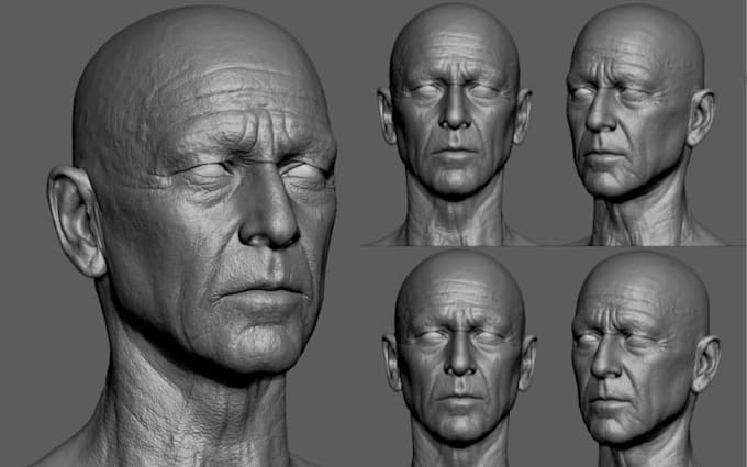 Sculpt realistic 3d head model in zbrush for 3d printing stl file 3d ...