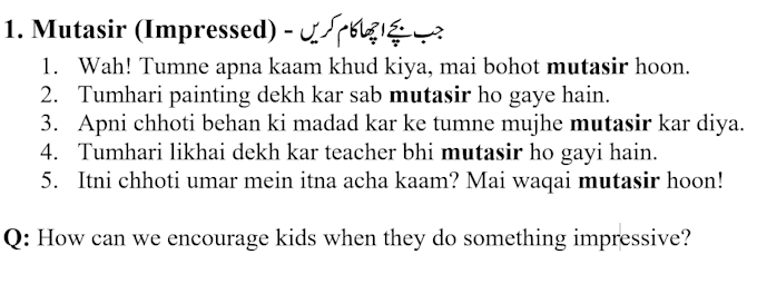 do conversational urdu classes for students and adults