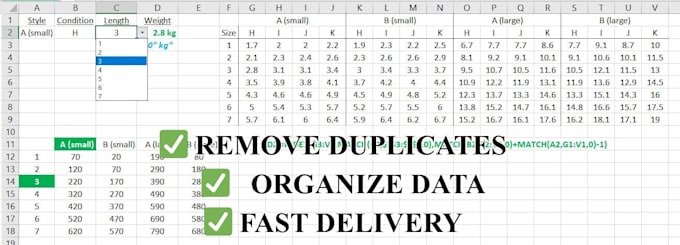 clean, format and organize your excel or CSV data