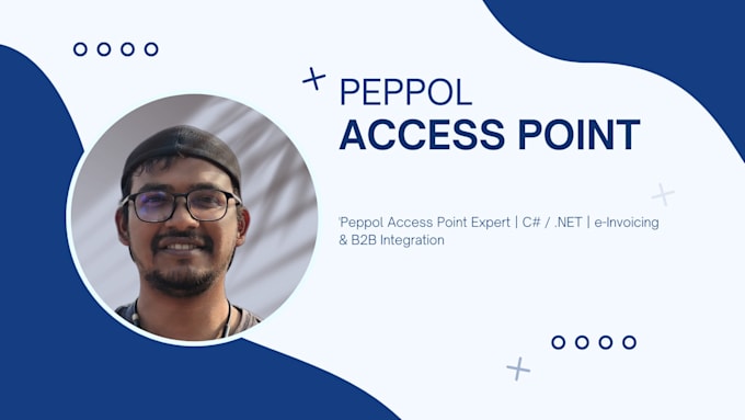 consult and develop peppol access point integrations in csharp