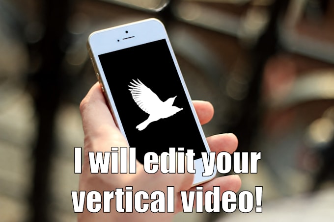 edit your vertical video