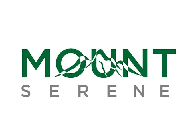 do wonderful minimalist logo