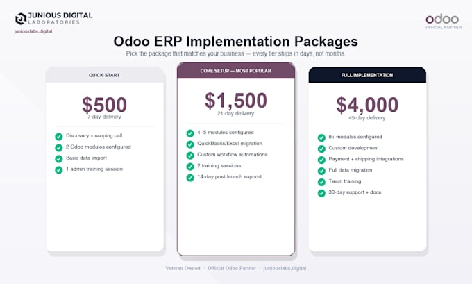 implement and customize odoo erp for your business