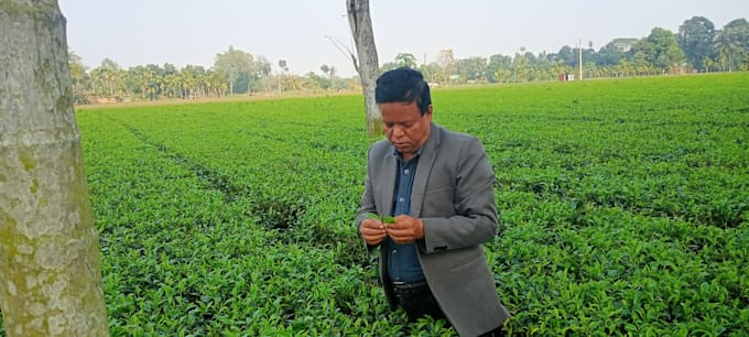 do agriculture data entry and excel reporting