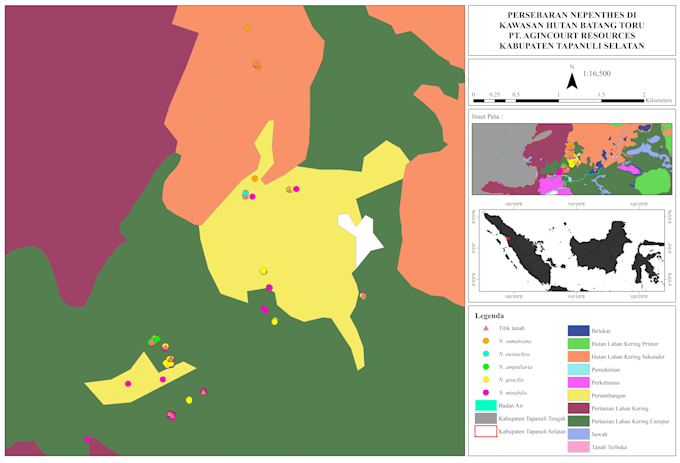 create gis maps and spatial analysis