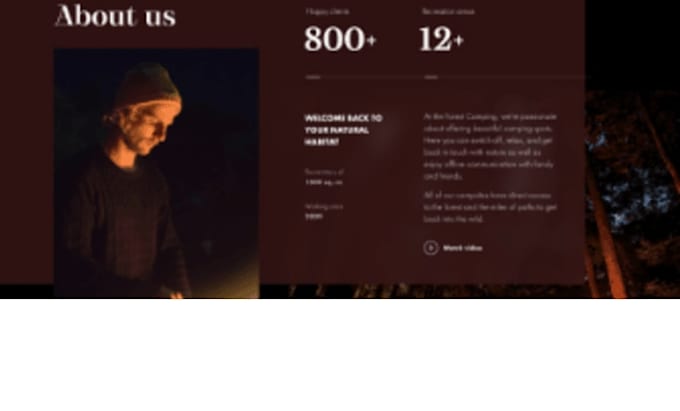 program a website that matches your creativity