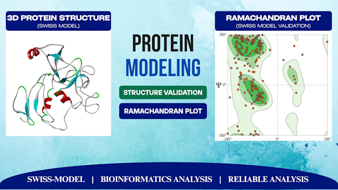 do protein structure modeling and validation
