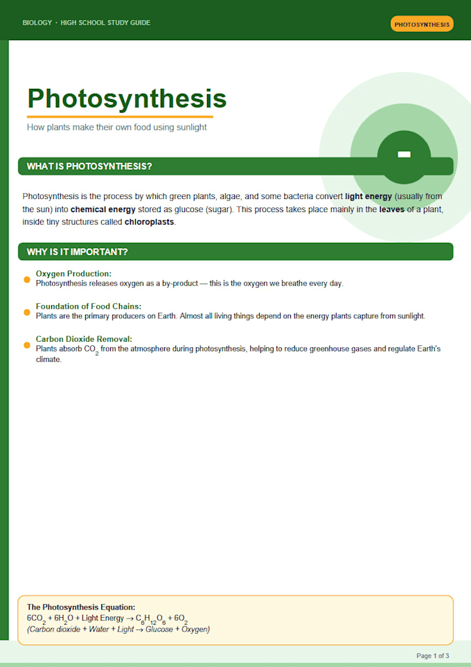 create custom study guides and exam summaries for any subject