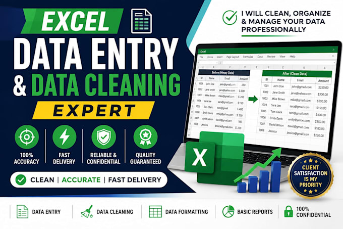 excel data entry and formatting