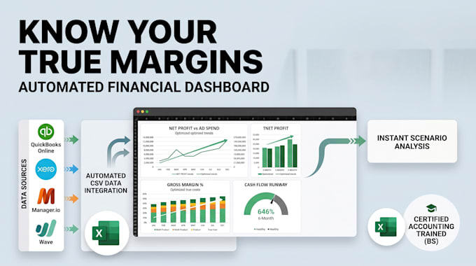 build a dynamic shopify financial model in excel