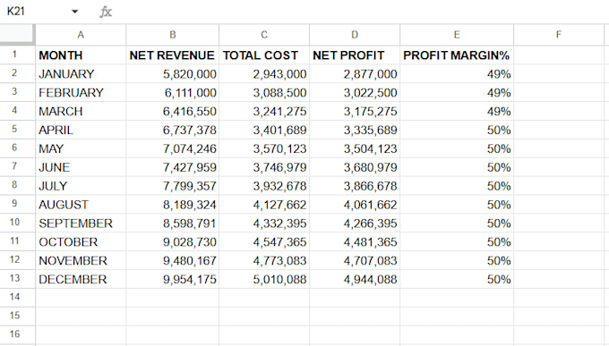 build a professional ecommerce financial model in excel