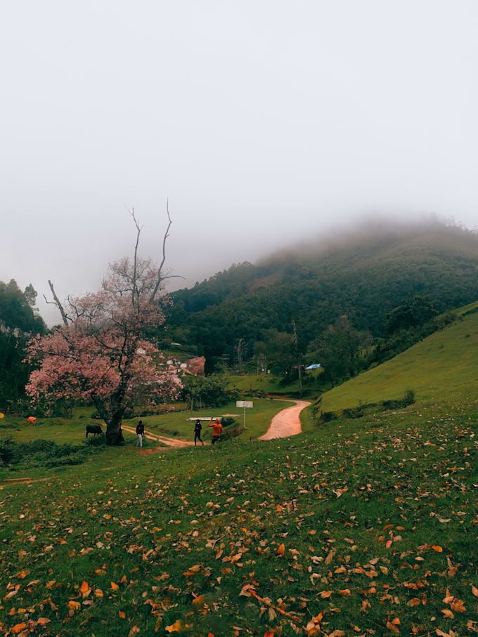 do professional photoshop editing and cinematic colour grading