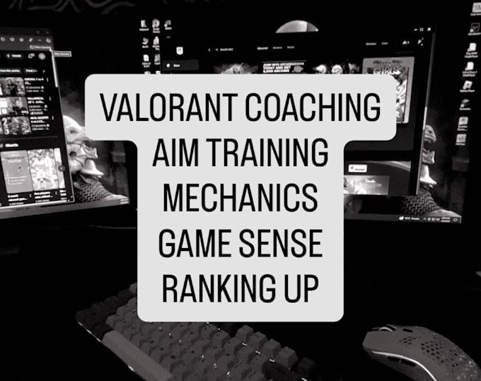 valorant coaching to improve aim, game sense, etc