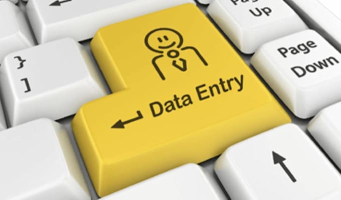 enter data in word and excel