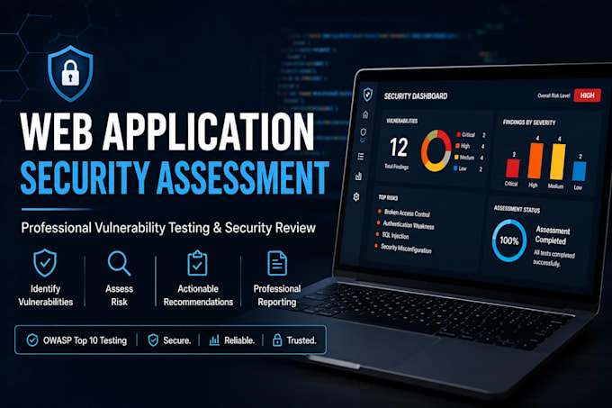 perform a professional web application security pentesting