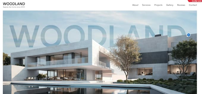 design a professional webflow website for your business