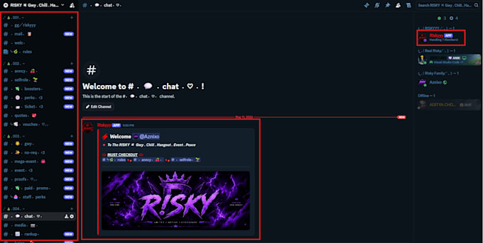 setup a professional discord server