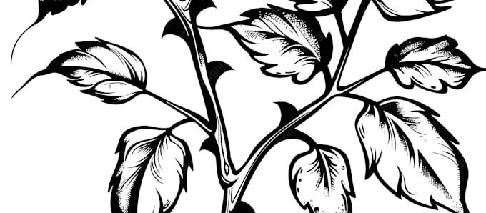 design professional and creative tattoo artwork