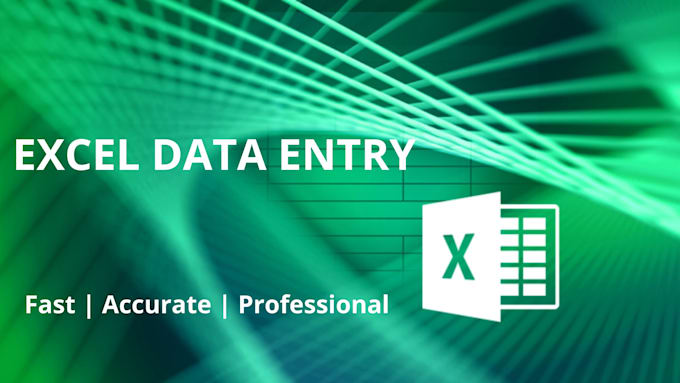 do accurate excel data entry professionally