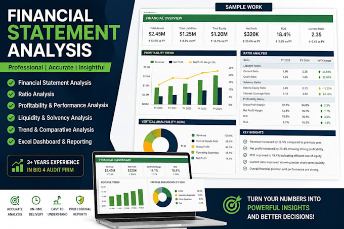 do professional financial statement analysis like auditors