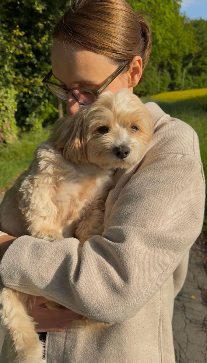 create authentic pet ugc videos for your brand