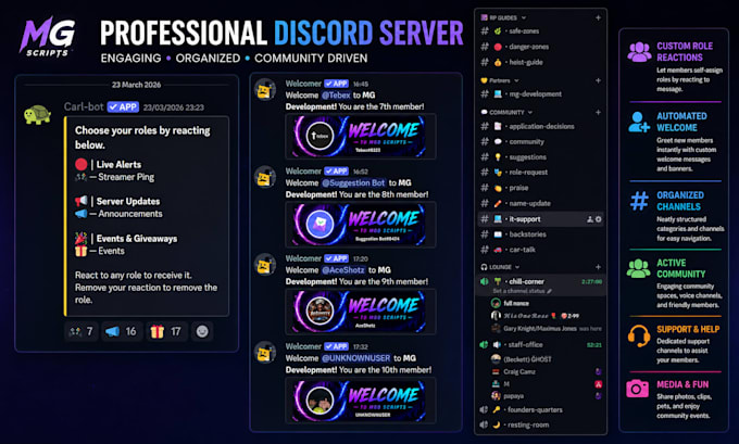 create a professional discord server setup