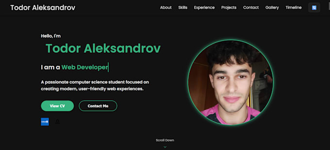 design, build or debug web applications and websites