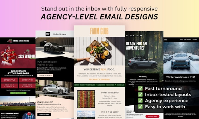 design a fully responsive email template or newsletter