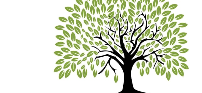 design beautiful bonsai tree logo
