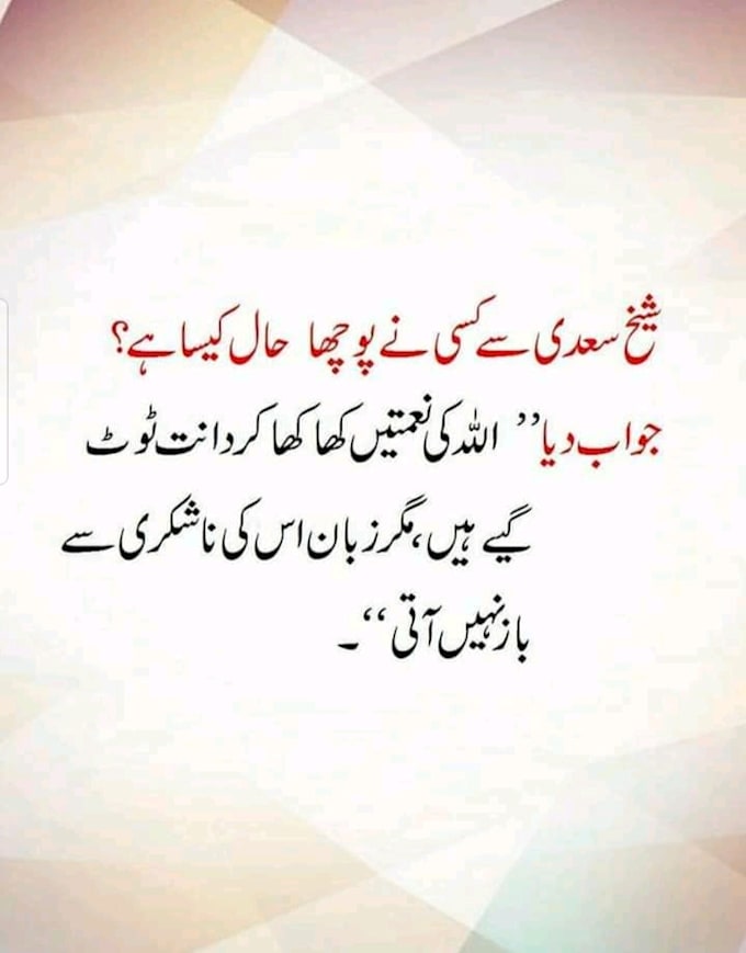 write professional urdu articles and blog posts