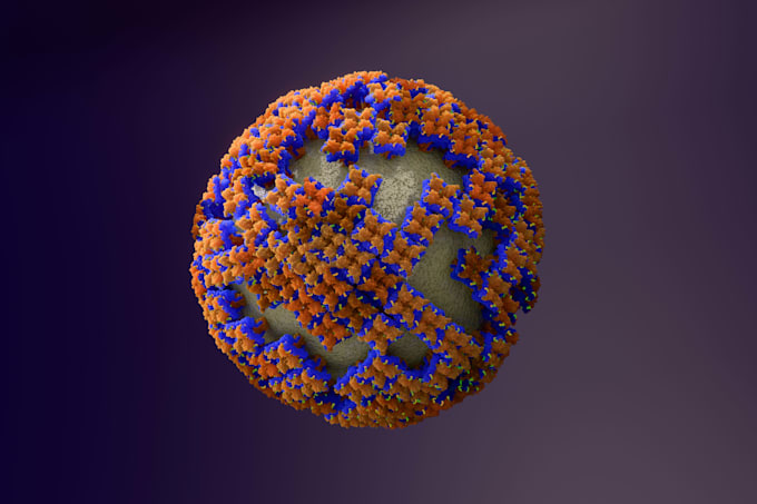 create scientifically accurate 3dcg animations