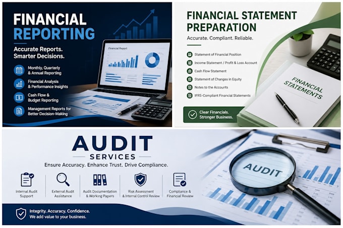 provide a professional accounting and audit work