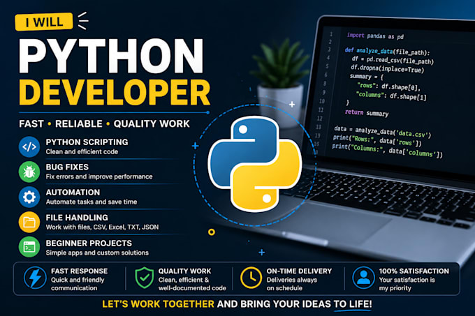 do professional computer science, java, and python programming projects