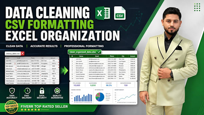clean, format, and organize excel or CSV data professionally