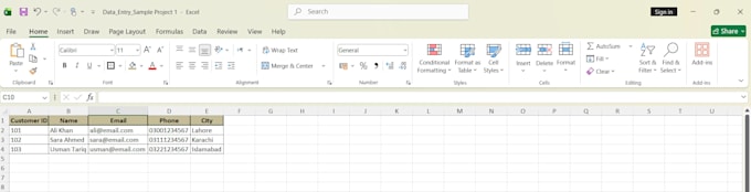 do accurate data entry, excel work, typing, and copy paste tasks