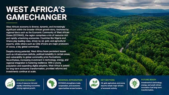 create brochures, business reports and pitch presentations