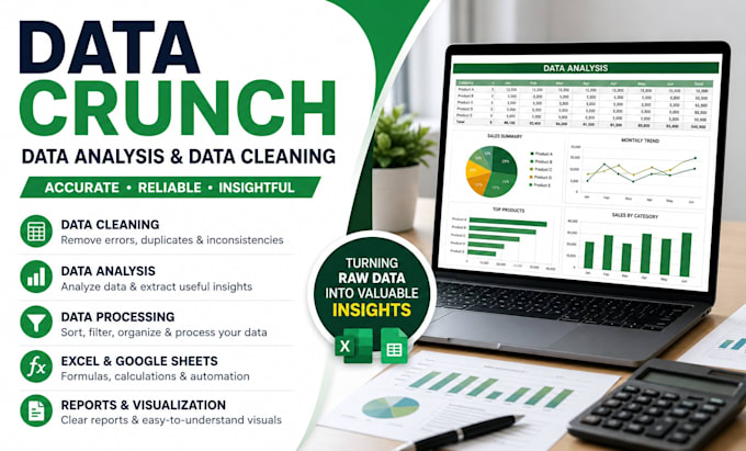 do data analysis, data cleaning, and data crunching in excel, dashboard report